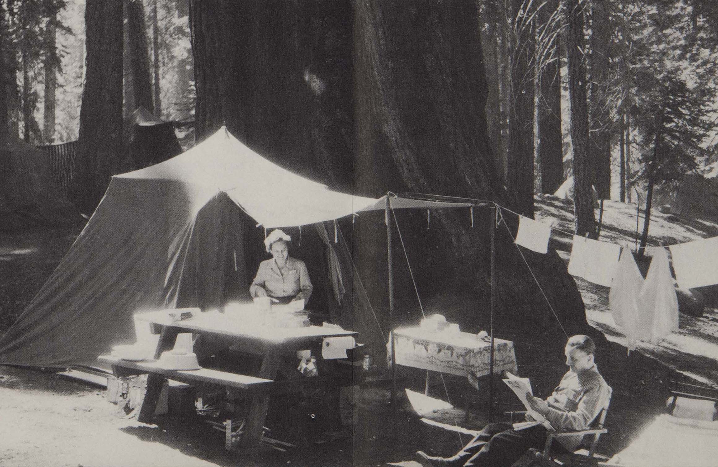 Firewood Camp, Giant Forest, Sequoia National Park