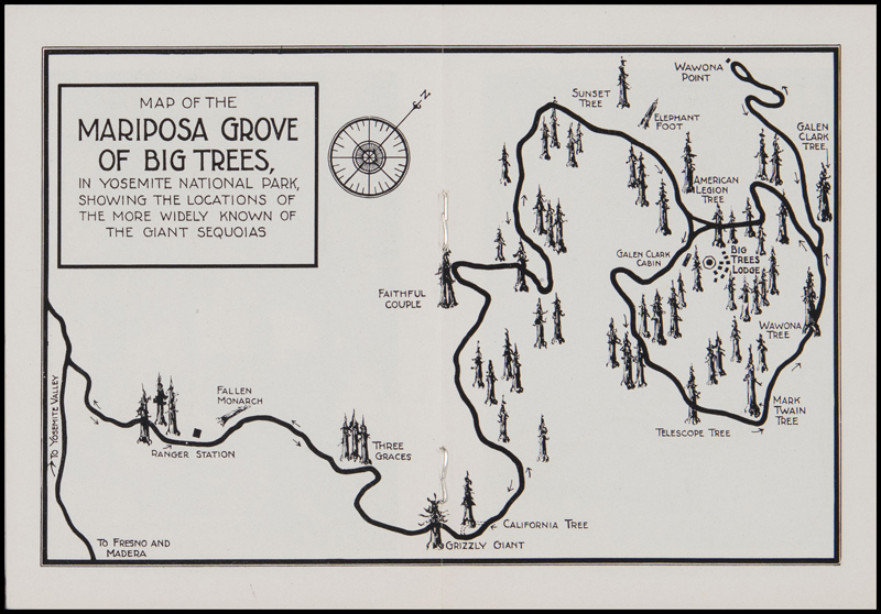 Map of the Mariposa Grove of Big Trees