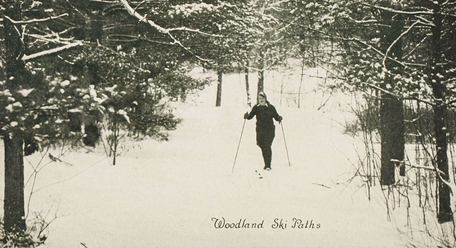 Woodland Ski Paths (1939)
